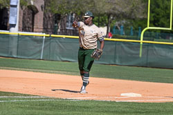 VHS Baseball Forest VHS Baseball Forest