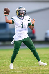 VHS Football Tavares