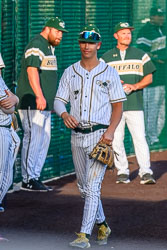 VHS Baseball Citrus