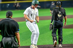VHS Baseball Citrus