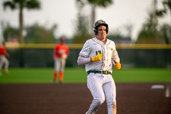 VHS Baseball Horoizon