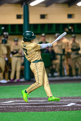 VHS Baseball Lake Weir