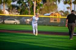 VHS Baseball Citrus