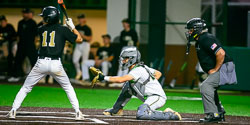 VHS Baseball Citrus