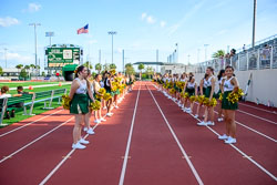 VHS Green and Gold Collection