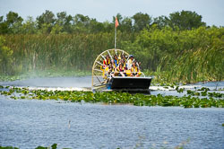 Airboat at Vero Beach Airboat at Vero Beach