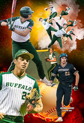 Baseball Collages 2022 Baseball Collages 2022