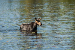Gunflint Trail Gunflint Trail