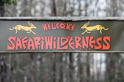 Safari Wilderness Trip Safari Wilderness Trip